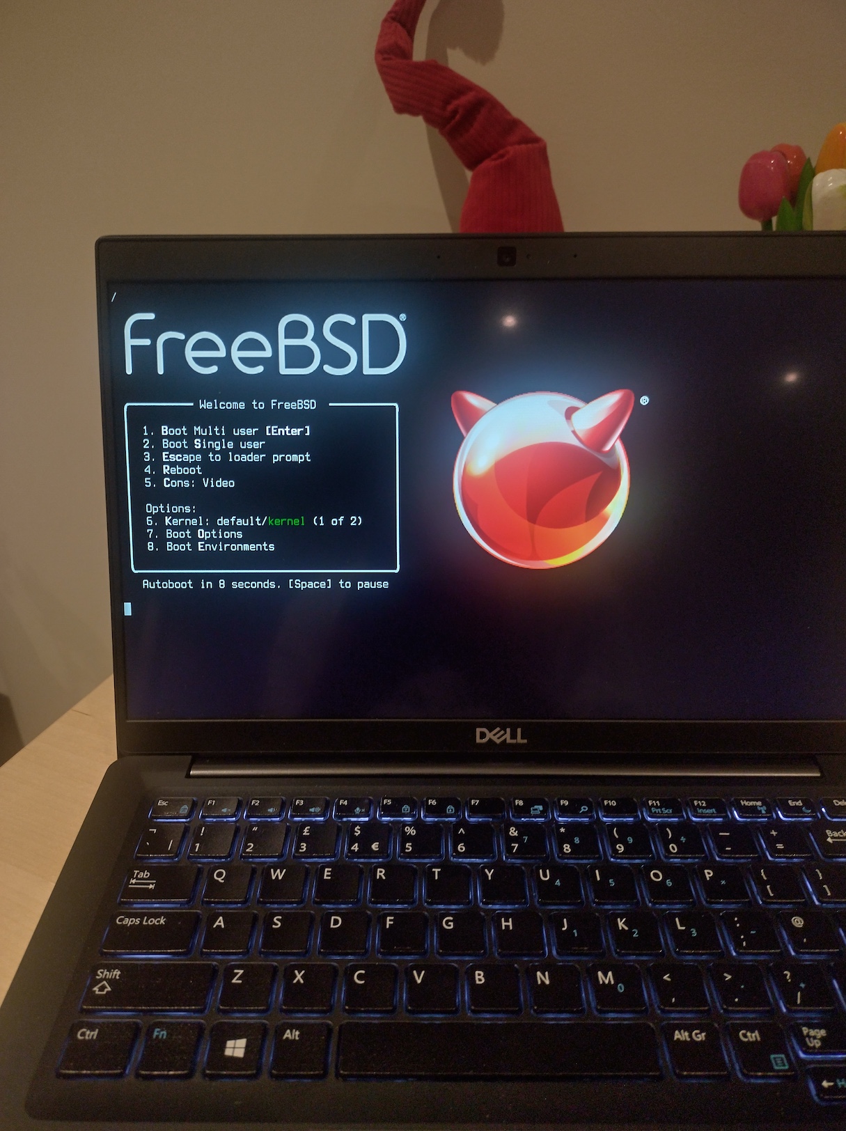 Hermit v2 running on Dell Latitude